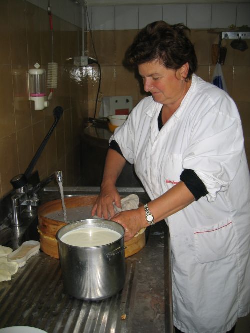 scuola di formaggio-28.JPG